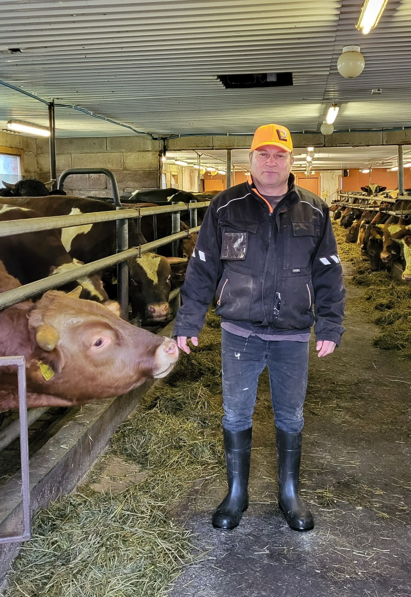 Tarmo Pieski on aloittanut tilanpidon vuonna -89, ja nykyään tilalla on noin satapäinen karja (Kuva: Anu Pieski)